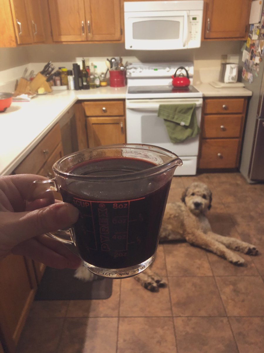 RachelDelmar's tweet image. My first shrub is a success! 

#QuarantineLife #amdrinking