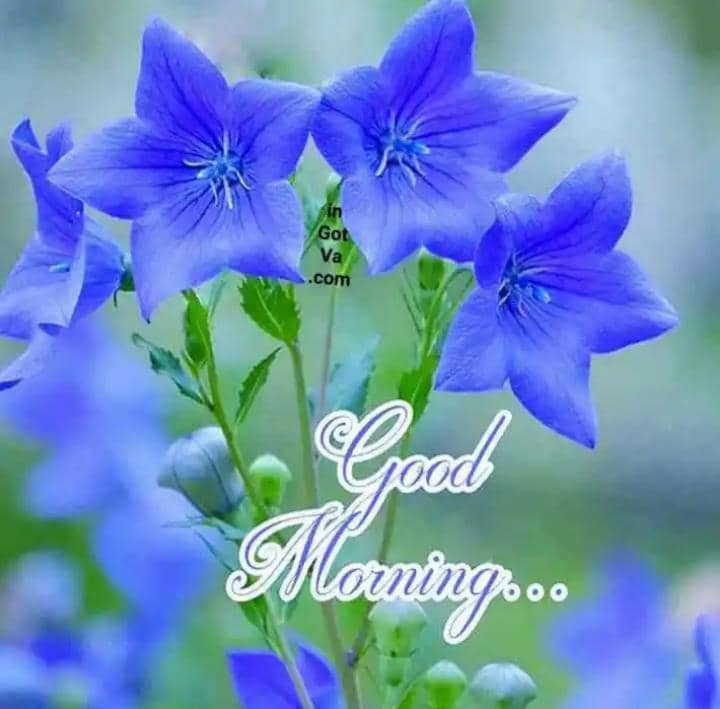 #مارخورز ریٹوئیٹ🔁  لسٹ بولے تو وعدے کے پکے
<a href="/Fbo_asif/">Malik Asif 🌷</a>
<a href="/sm2pk/">Saeed Malik</a> 
<a href="/Shzad0/">ʍʊɦǟʍʍǟɖ 🇸 🇭 🇦 🇭 🇿 🇦 🇩</a> 
<a href="/tarar_2/">تارڑ</a>
<a href="/Khan_Z0/">(اسحاق)😊</a>
<a href="/Ghzl_3/">غـــزالــہ ...💕</a>
<a href="/Saq_raza7/">Saqlain Raza</a>
<a href="/Raza5129/">Dr.Raza Haidery 🇵🇰💕</a>
<a href="/MI_RYK/">⫷𒈞❂༼‏محـͥـͩـͣـͫــͫمͣـͪـͧـⷨــــدی༽❂𒈞⫸</a>
<a href="/Abid5432/">Snsayem</a>
<a href="/shoukatmeo1/">Meo 313</a>
<a href="/Iftikha68736481/">Iftikhar Ahmad qwp</a> 
<a href="/mnaimet/">Mansoor Naimet Ullah</a>
<a href="/ShafiqueAbbas72/">Shafique Abbas</a>
<a href="/junaidiac/">Pakistan Zindabad (PTI)</a> 
@MPA_P1
<a href="/Binte_Is/">Bint e Islam</a>
<a href="/abualhawl1/">LEADER OF THE CENTURY 804</a>