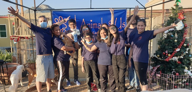 AnimalsAndUsFuj's tweet photo. We hosted a wonderful event on Friday where people came to the facility and fed the dogs home-cooked food. The event was very successful and we are grateful for all of the attendees' generosity and love for our animals. https://t.co/vaC9Qc72MP
