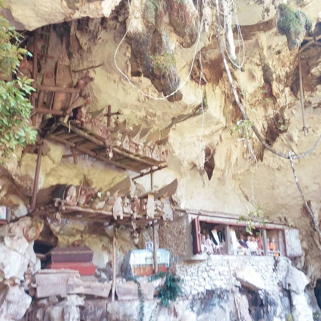 amdiazcara's tweet photo. Senang sekali bisa liburan ke toraja yang betul-betul vibesnya terasa banget ❤️❤️❤️ https://t.co/1wA4Zz9ZCE