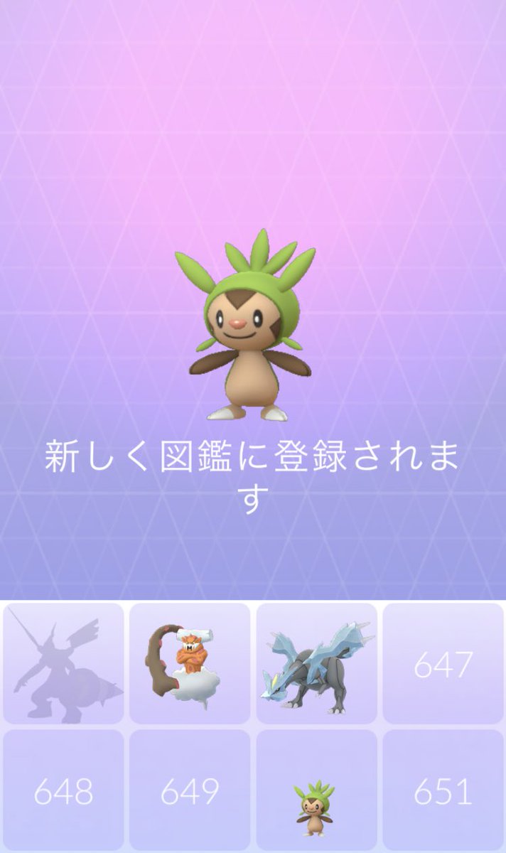 シシコ シシコ