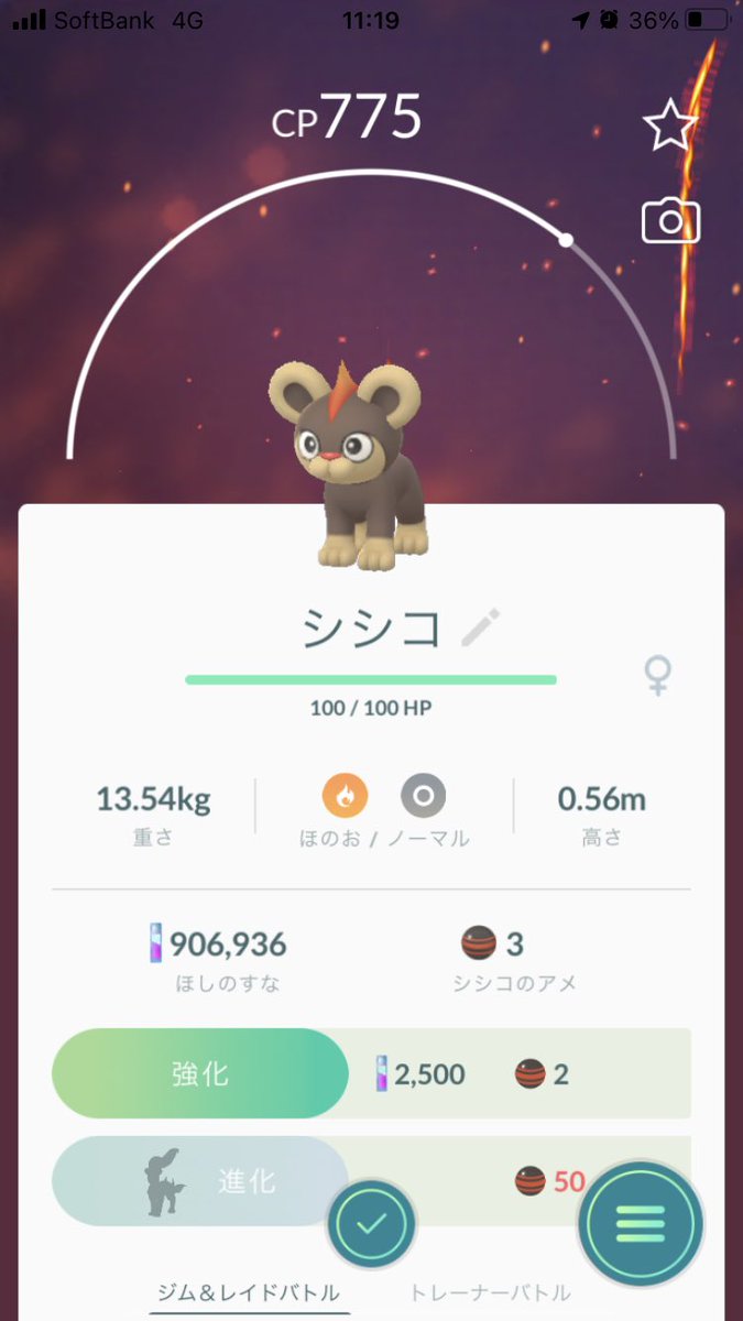 シシコ シシコ