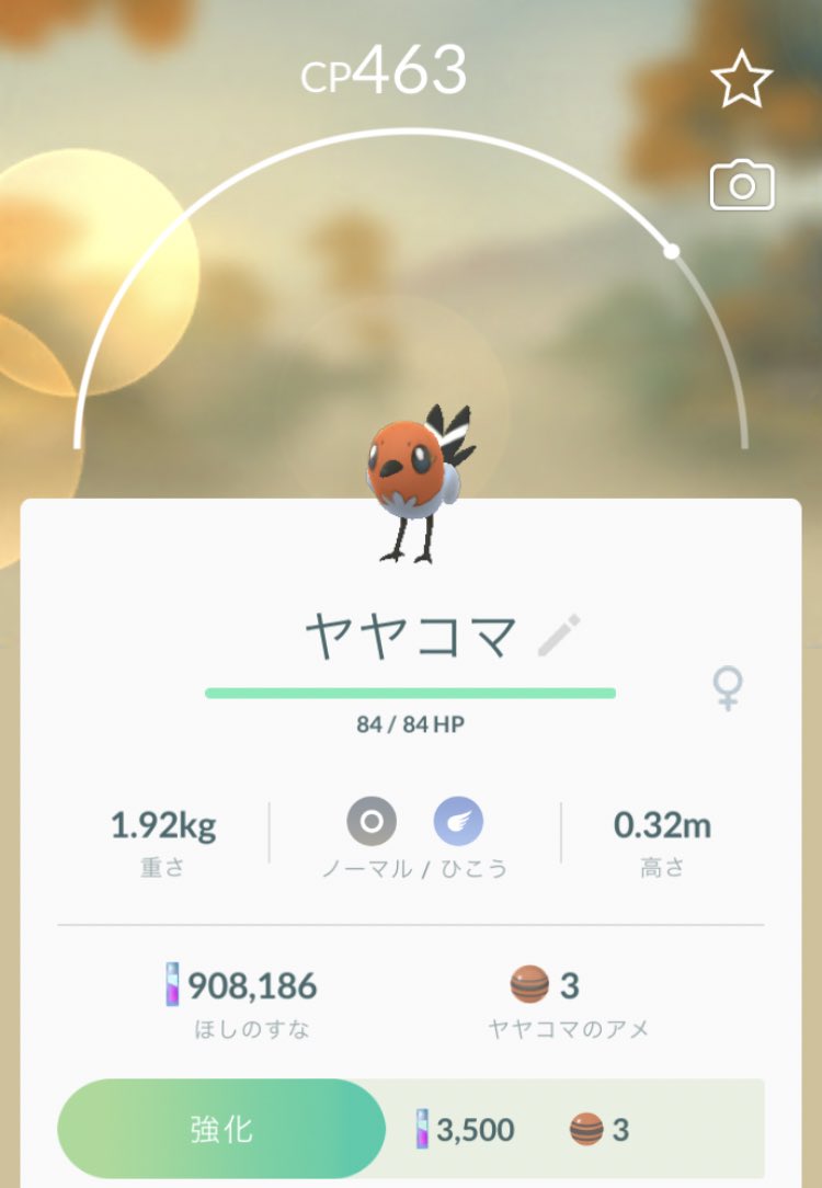 シシコ シシコ