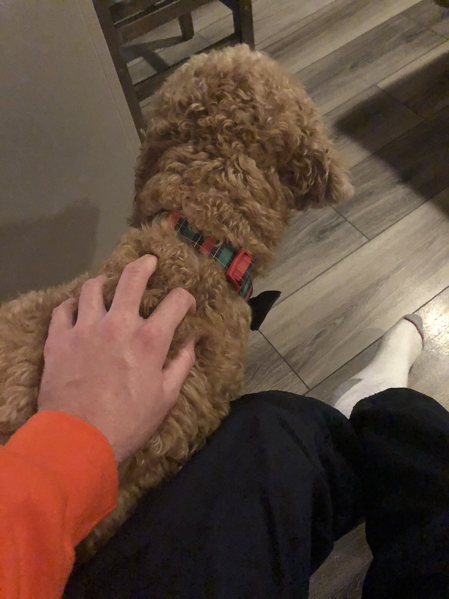 CaucasianJames's tweet photo. petting a dog. this is awesome https://t.co/fEiRlB6bj6