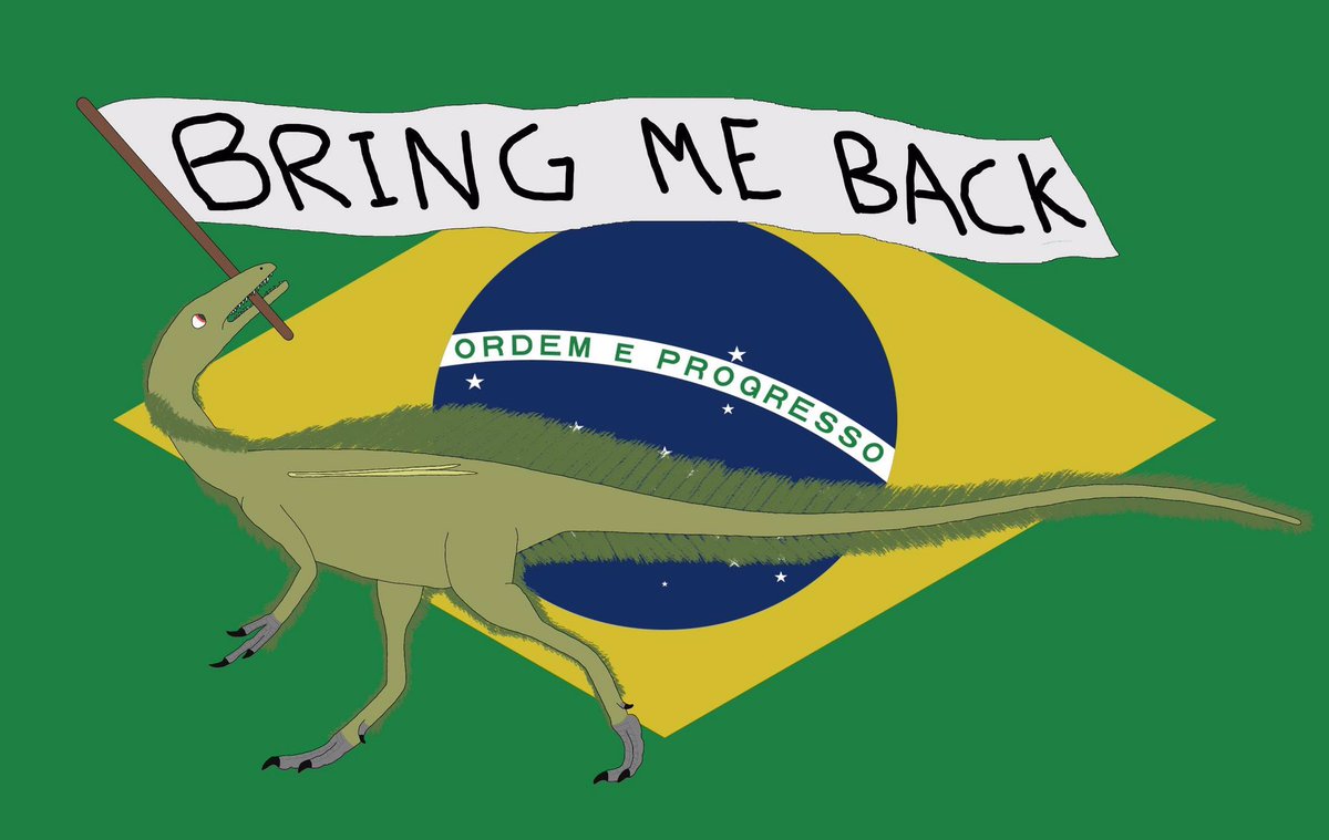 DrockerSam's tweet photo. #UbirajarabelongstoBR https://t.co/bGRrN6bkfO