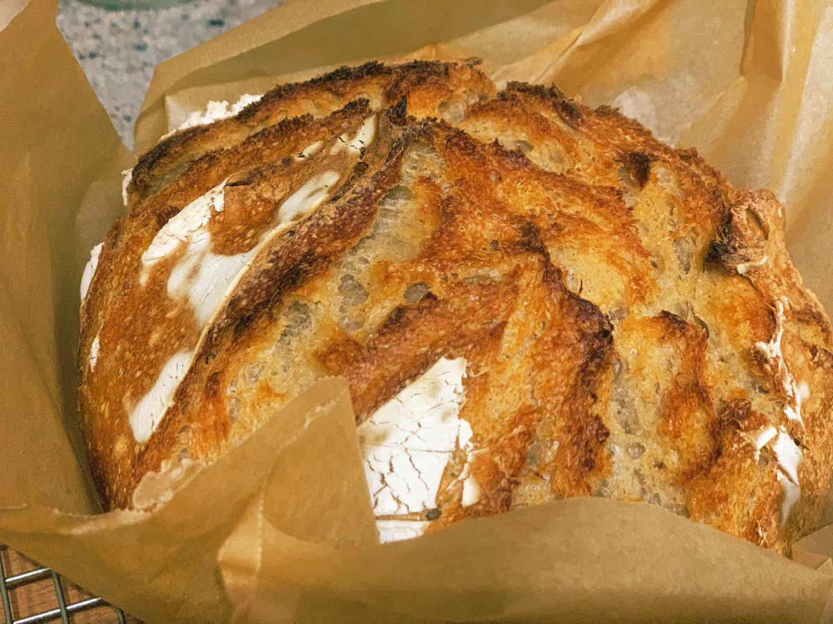 grainflow's tweet image. Whole wheat sourdough loaf. #sourdough #bread