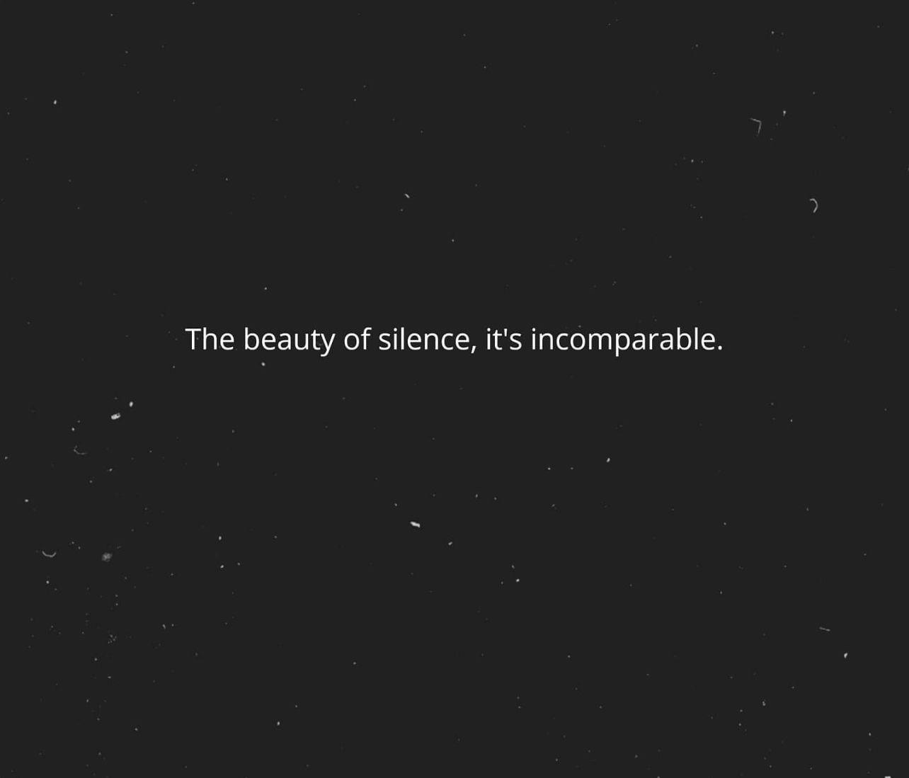 Text image with quotes about silent beauty from The Slow Regard of Silent Things