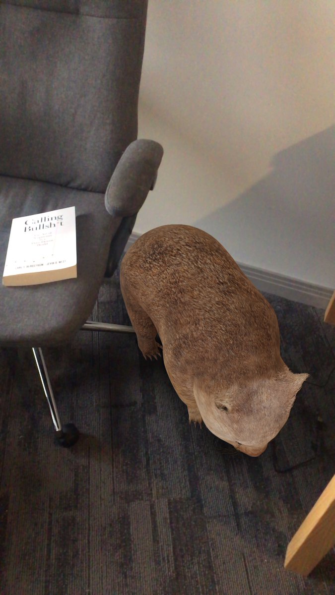 Woke up to half my head still throbbing so I’m a bit late but I’m off, Wombie is coming with, book to read check, freshly laundered mask check, let’s gooo get a test   https://twitter.com/colourmeamused_/status/1340282104995663882