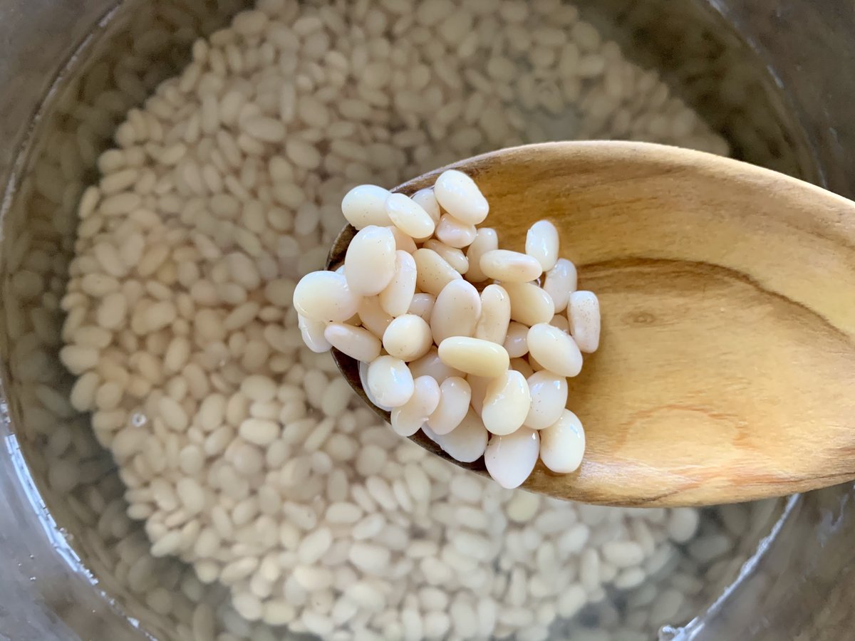 We love beans, but tepary beans are truly something else. Listen to <a href="/ramonafarms/">ramona farms</a> describe this magical, drought-resistant bean that "smells like the desert rain." gastropod.com/like-water-in-…