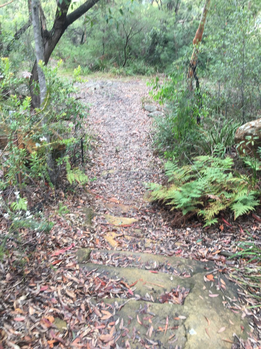 Remember the Ferny stairs  @Glaven1994!