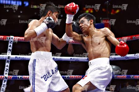 labailarina151's tweet photo. @BoxAzteca7 #CaneloEsAzteca https://t.co/nrZKPbhGLm