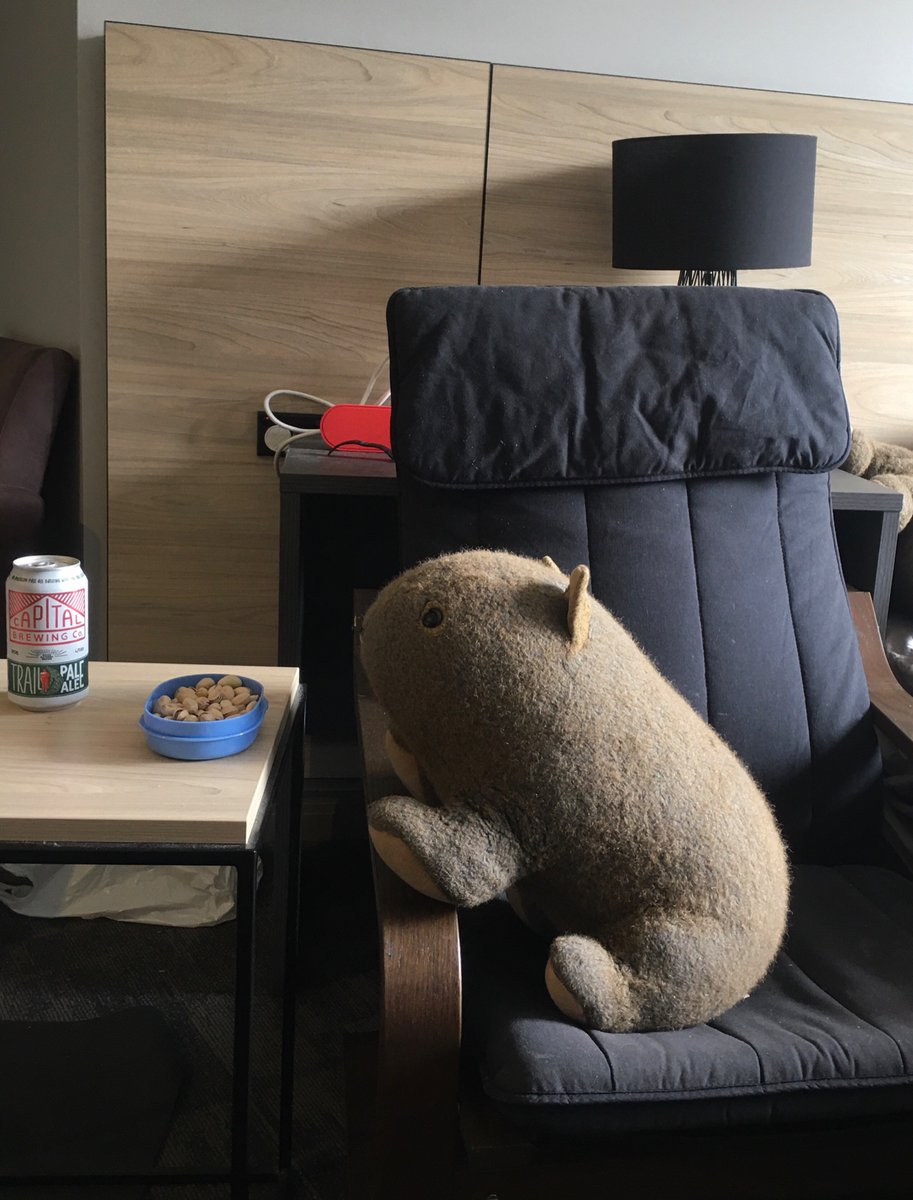 Back home to isolate until my result say hi to Burger the wombat, he likes nuts, leaves, and beer 