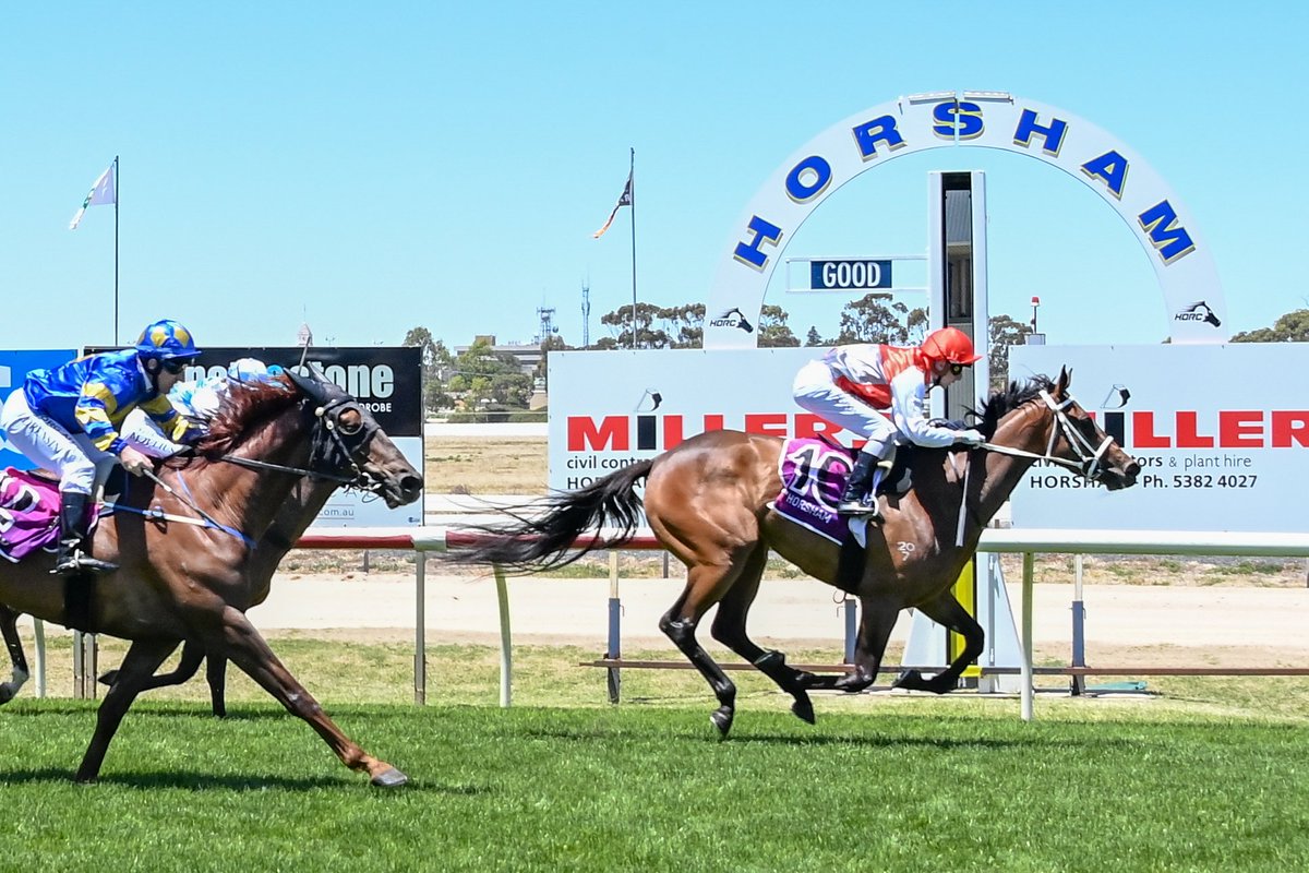 Country_Racing's tweet photo. Braekhus breaks her maiden today at Horsham. The Coffey father and son combination proved a winning one today. Country Racing Victoria have a 10% share with all prizemoney going towards Cystic Fibrosis Community Care. How exciting!?  🌹 https://t.co/Vg0evfo9uq