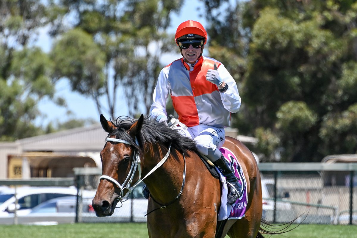 Country_Racing's tweet photo. Braekhus breaks her maiden today at Horsham. The Coffey father and son combination proved a winning one today. Country Racing Victoria have a 10% share with all prizemoney going towards Cystic Fibrosis Community Care. How exciting!?  🌹 https://t.co/Vg0evfo9uq