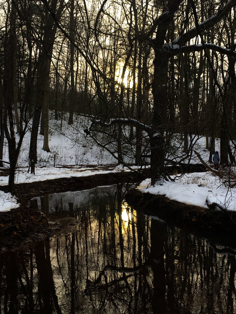 Snowy Sunset Reflection.

#naturephotography #sunsetphotography #southjerseytrails #njhiking #wenonahtrails #wenonahwoods #photography #winterhiking #sunset #njisbeautiful #southjerseyadventures #southjerseyisbeautiful