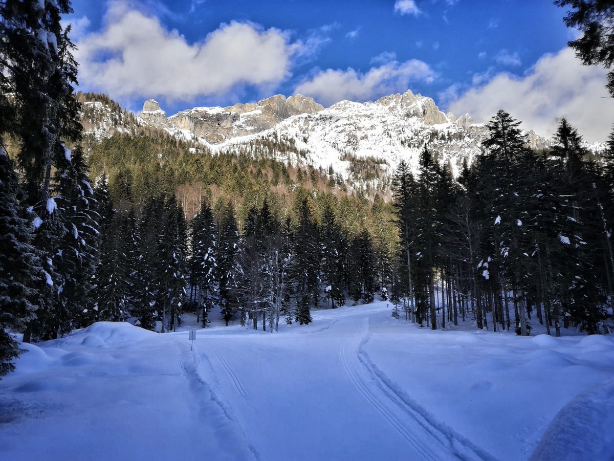 I am spending my 38th complete rotation around the Sun in the best way possible: preparing for a #simultaneous #interpreting #assignement with a fantastic #team, #translating a document, all of this while in the neck of the woods, surrounded by #nature.  #xl8