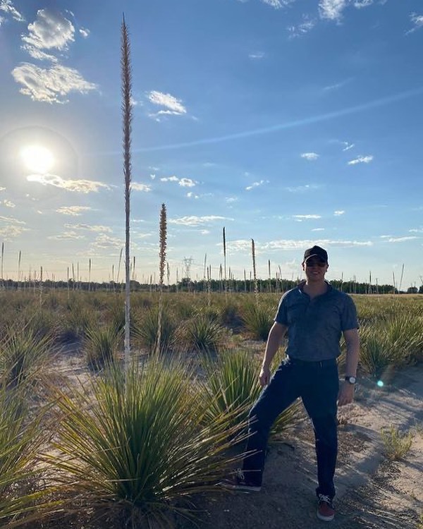 Have you heard the new chapter? We go into the world of Sotol. This is Isaac Montes from @sotolcasamontes AKA “El Güero Sotolero” walking the fields instagr.am/p/CJA5Ym6Fl8i/