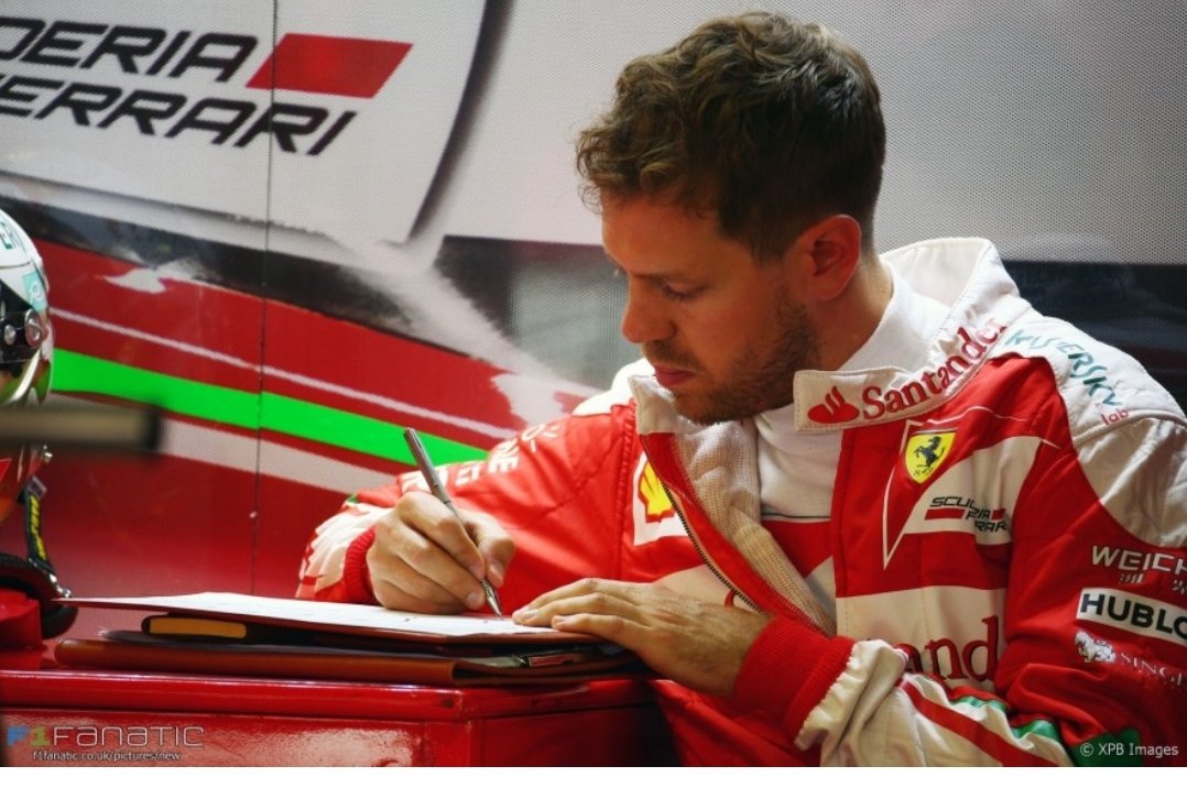 Sebastian Vettel as cats- a thread