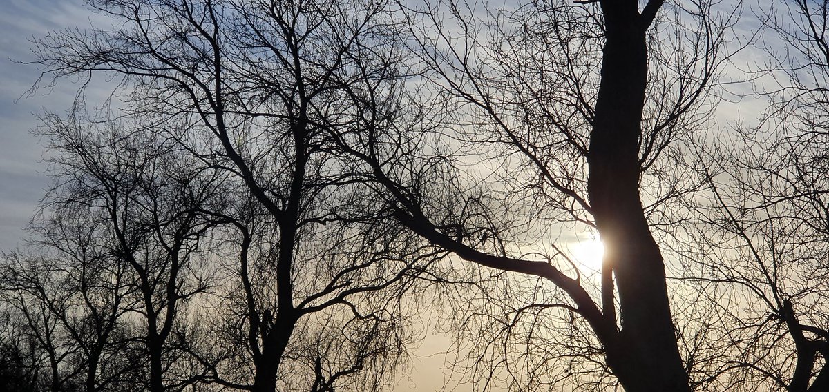 Havenlust's tweet photo. 🕊️❤️ https://t.co/MuTqz0U2CQ