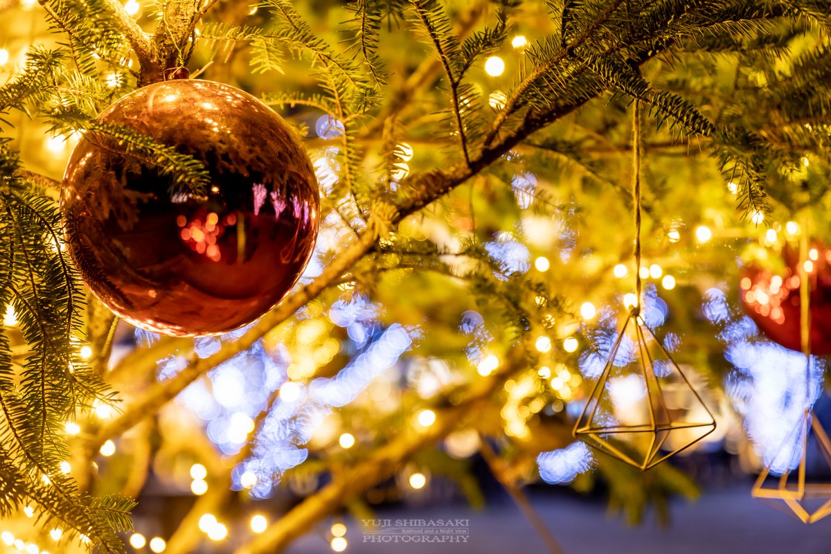 Yuji Shibasaki Photo メッツァビレッジクリスマス これが埼玉の北欧イルミネーション 飯能 メッツァ ムーミンバレーパーク Yuji Shibasaki Photo メッツァビレッジクリスマス これが埼玉の北欧イルミネーション 飯能 メッツァ ムーミンバレーパーク