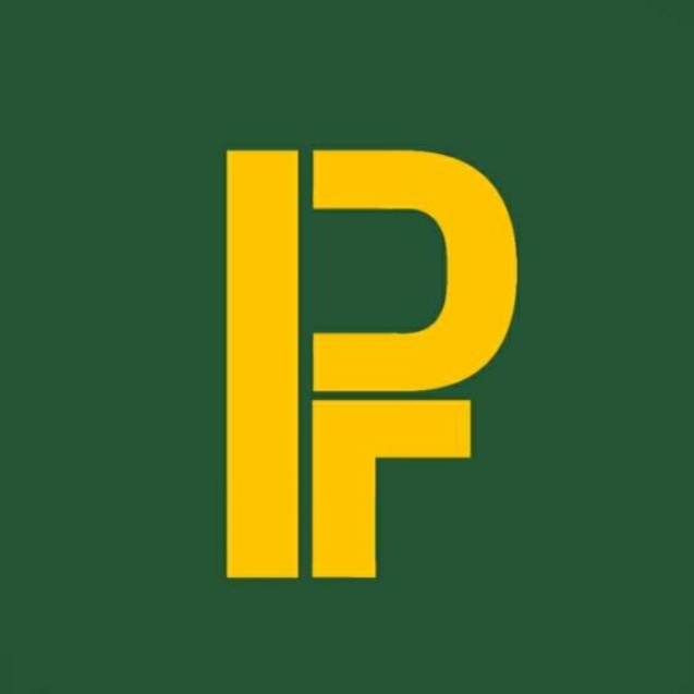 FDPapum's tweet photo. Anúncio oficial do novo escudo do Futebol Desportivo Papum, trazendo inovação e modernidade para o time https://t.co/zraGEbe9li