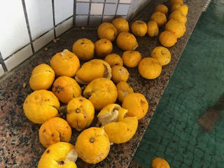 お風呂屋さんの悲鳴 冬至の定番 柚子湯 は絶対に果実を潰しちゃダメという話 機械の故障に繋がります Togetter