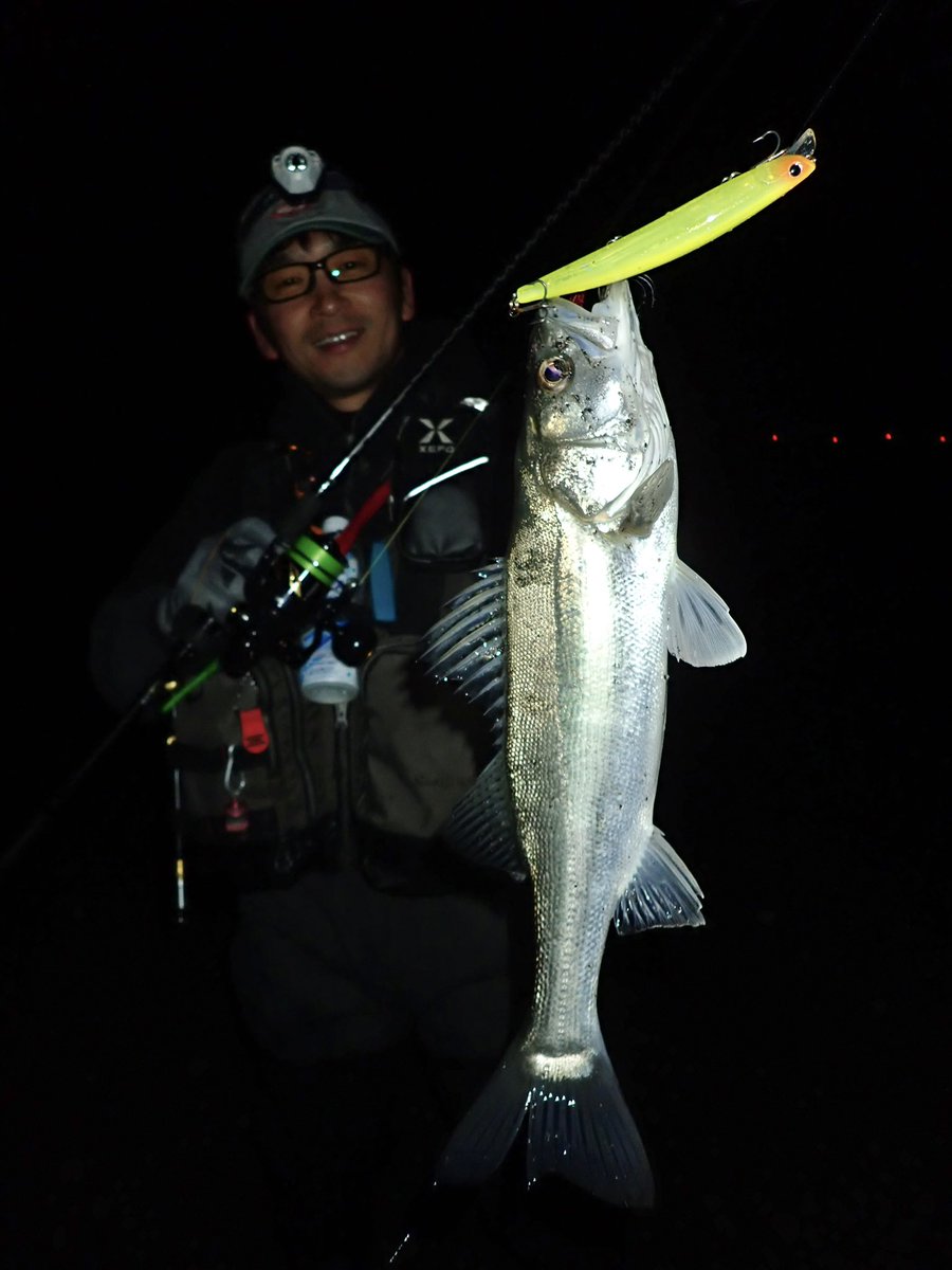 marujinangler's tweet photo. 広大なサーフでこのサイズが数釣れてくる。ルアーに遭遇する確率より、餌に有り付く確率の方がきっと高いはず。そんな事を思いながら今夜も頑張ります（笑）
#GAMADAS https://t.co/6GU1yC1iyp
