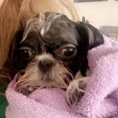 brisar_iz's tweet photo. #NewProfilePic https://t.co/1KaKoFcgeO