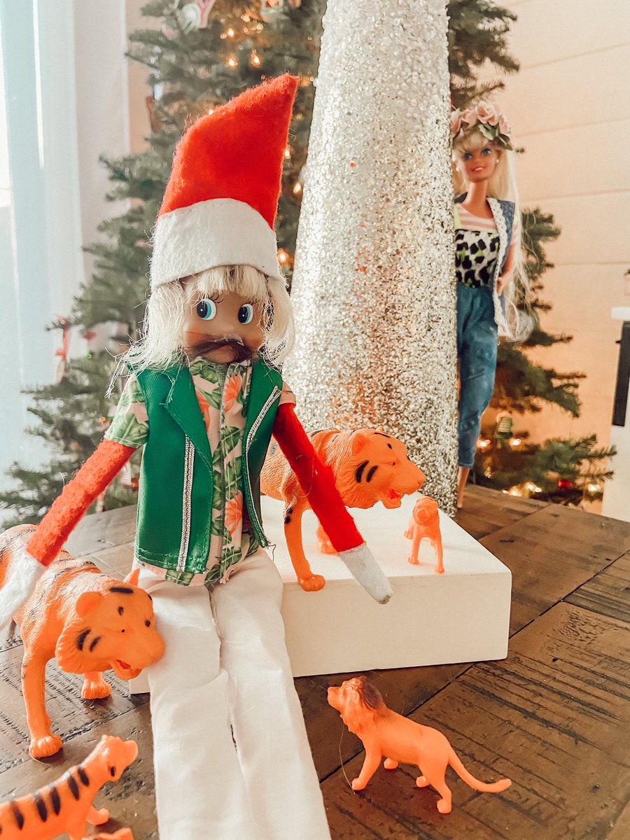 Watch out Joe, Carol’s always watching. #elfontheshelf #TigerKing