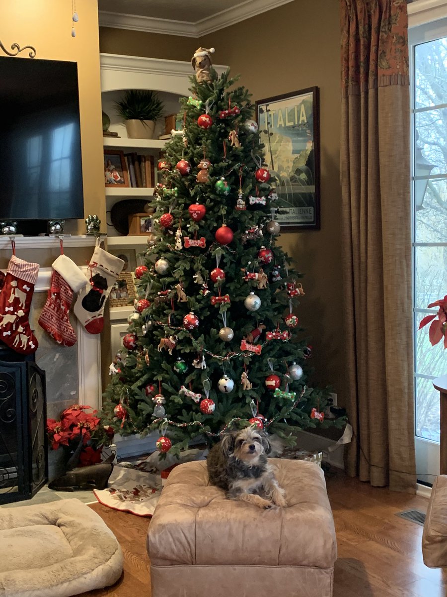 Macy46074's tweet photo. I’m ready for Christmas! https://t.co/BEw08hs3sH