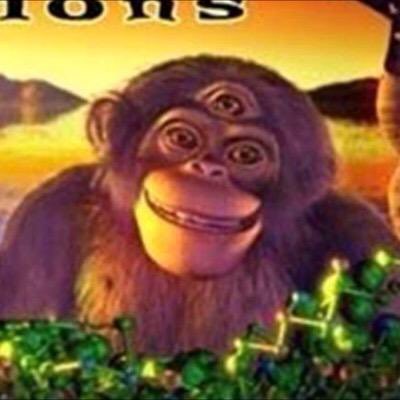 BoujeeHaydo's tweet photo. https://t.co/v6kWo4biyf