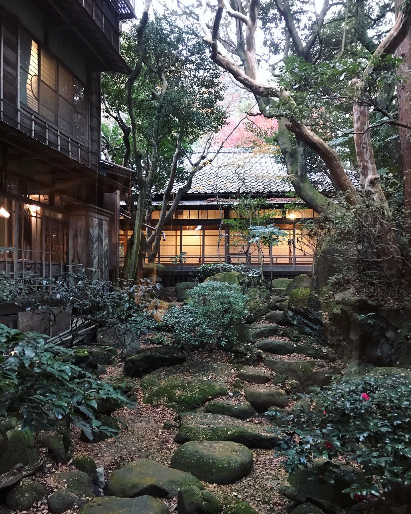 酒徒 しゅと 福住楼は食事も再訪の理由 奇をてらわない古風な旅館会席がきちんと美味しいのが嬉しい 品数豊富で 量も十分 部屋食なのに温かいものは温かく 急かされる雰囲気ゼロなのもいい 動けないほど満腹になって仲居さんが敷いてくれた布団に