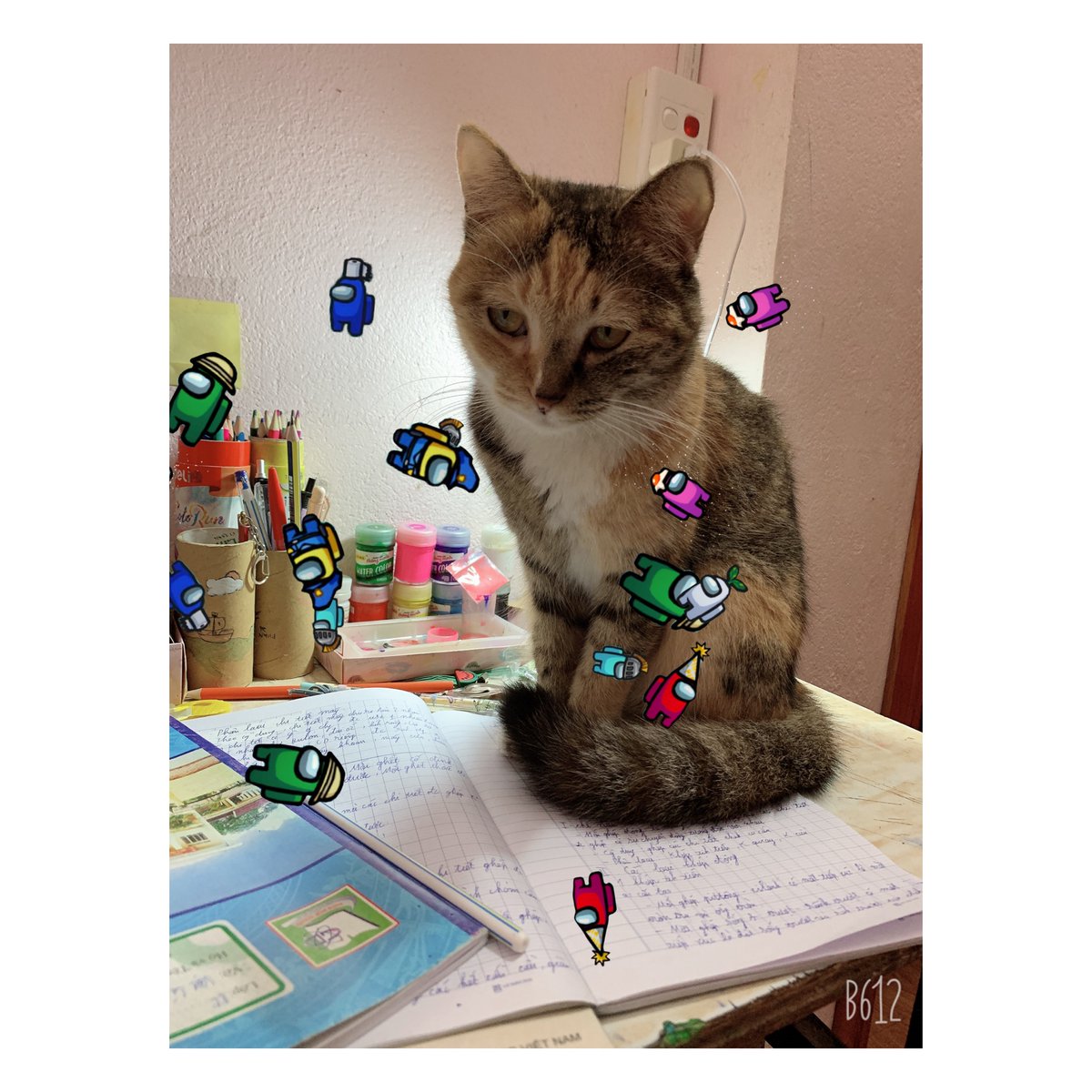 BackVua's tweet photo. Cat bủh https://t.co/SB0Bb1zlCu