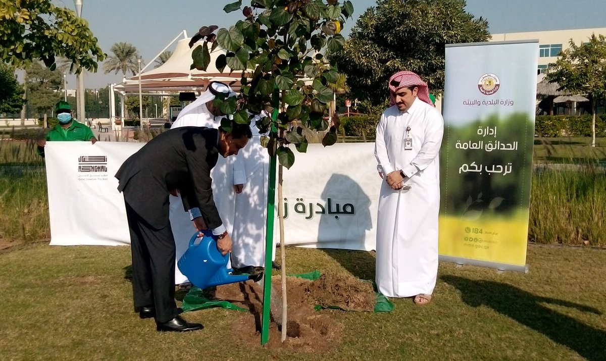 نظمت وزارة #البلدية_والبيئة ممثلة بإدارة الحدائق العامة بالتعاون مع سفارة سنغافورة بدولة قطر فعالية زراعة أشجار، وذلك ضمن مبادرة #زراعة_مليون_شجرة 
#تجميل_قطر_وعيالنا_يزرعون_شجرة #أشغال 
<a href="/AshghalQatar/">هيئة الأشغال العامة</a> #قطر #Qatar