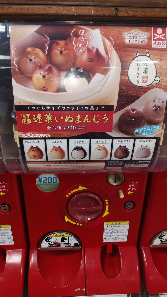 ガチャ王国ジョープラ店 これは饅頭 かわいい犬まんじゅう W おひとついかかですか ゝw ノ 食べれません ガチャ王国 ジョープラ店 まんじゅう 饅頭 犬 かわいい 全部集めたい Stasto スタンドストーンズ ガチャガチャ カプセルトイ