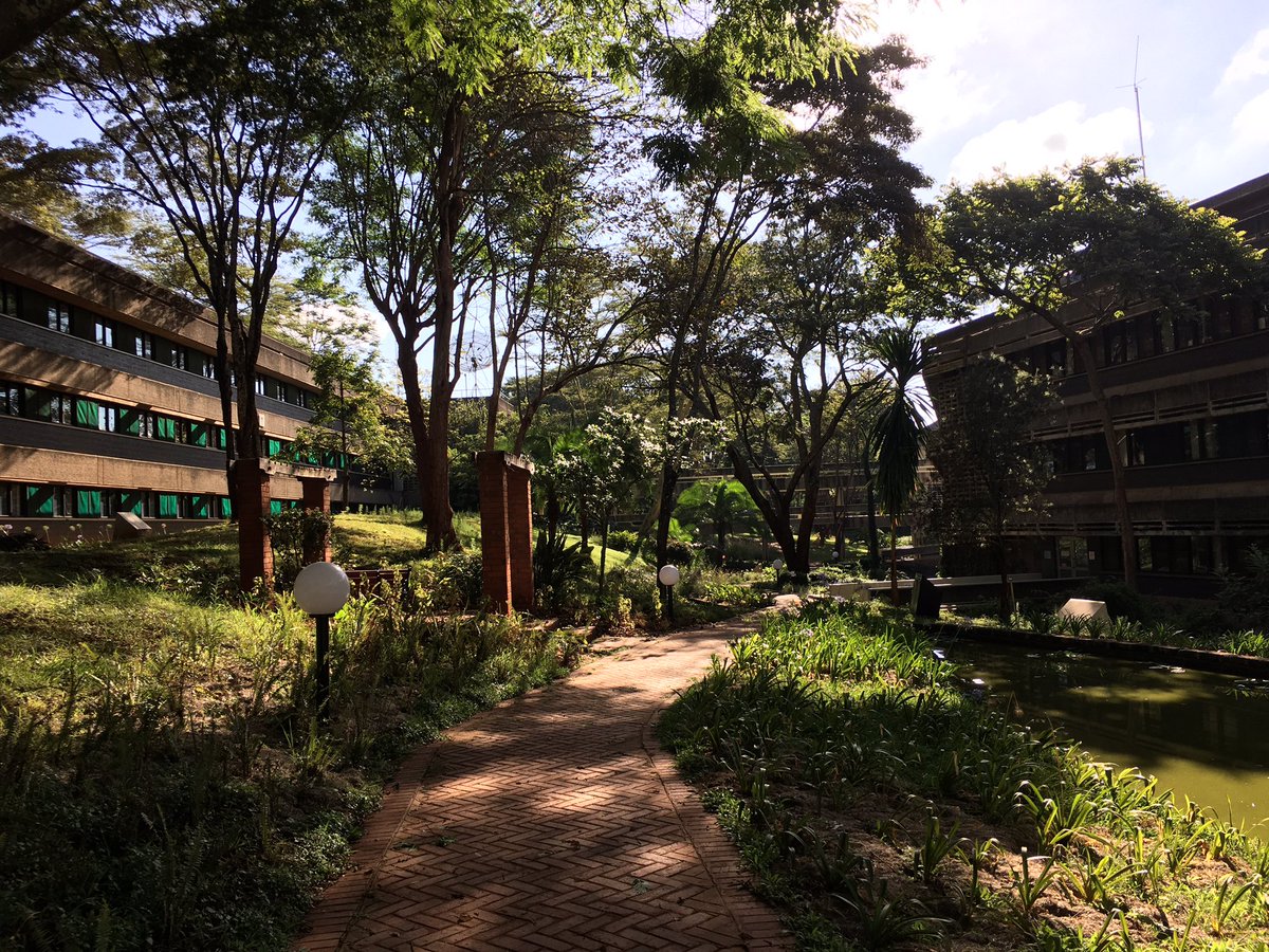 My morning run 🏃🏾‍♀️/ walk was in the UN complex here in Nairobi #UNON clean air, trees, wetlands & new work spaces for 2021 🙌🏽🙏🏽👇🏽#RunnerMum #RunnerDiplomat #MyRunningClan @TeamJashoKE