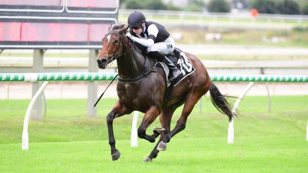 We debuted our ⚫️⚪️ colours with that special win by NIEDORP on 4 April 2020 in memory of Darryl Gollan who passed that morning. Yesterday’s win by ISOTOPE was start number 48 for the colours for win number 20 at a strike rate of 41.5% 😲