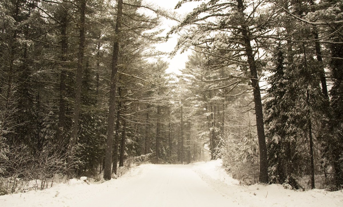 marykkeown's tweet photo. #TheElbow along the #SpanishRiver is so beautiful w #snow. #SnowCoveredTrees and small brooks running thru the #forest. This #winter #river runs fast and fierce, and w a little #fog it seems almost #magical and #otherworldly. I recommend this #excursion in #December. #NorthernON https://t.co/zC3NzYRwEe