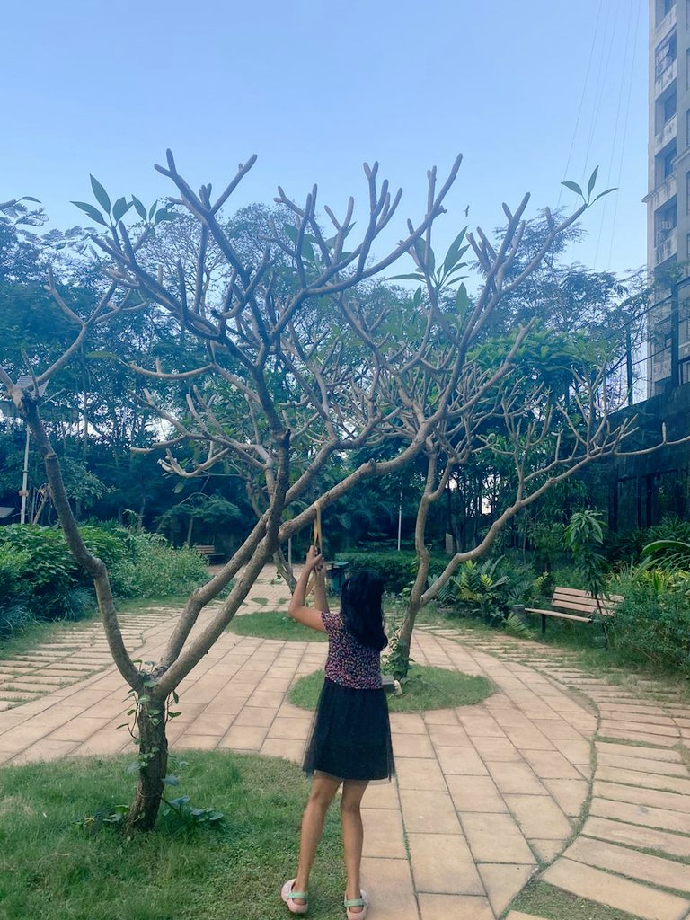 sonalikulkarni's tweet photo. Winter mornings when you have play time break in your online school 😇
#shootbreak #familytime #SundayMorning https://t.co/MCetXQk0NF