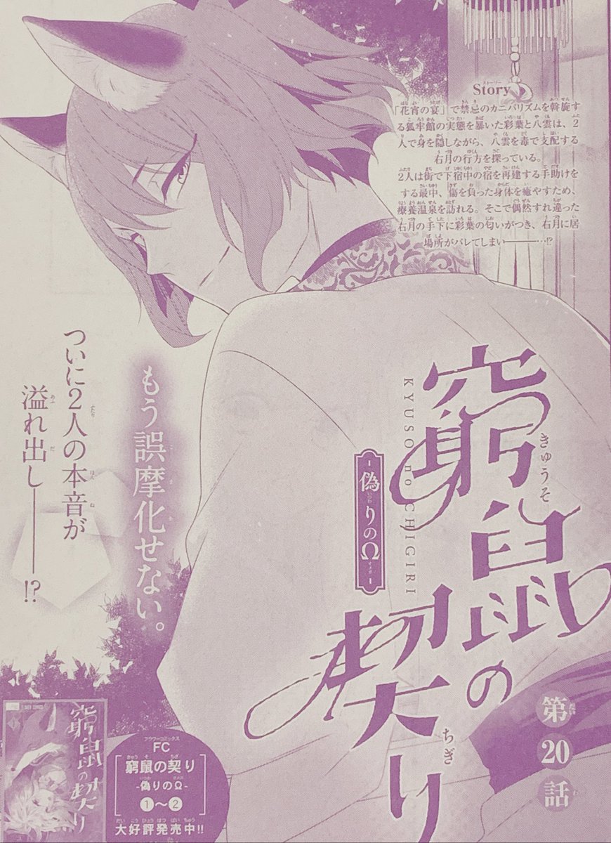 Sho-Comi 新春2号発売中⭐︎
窮鼠の契りも載せてもらってます〜

ついに彩葉の気持ちが…⁉︎な回となってますので楽しんでいただけたらうれしいです✨
よろしくお願いします(^o^) 