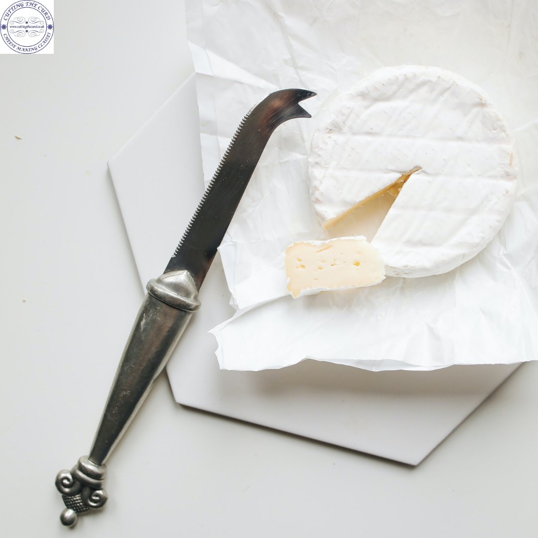 Louise Talbot tweet media