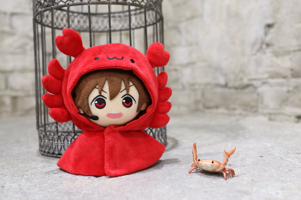aisdoll's tweet photo. #Mマスぬいフォトグランプリ https://t.co/fCp04bK2vC