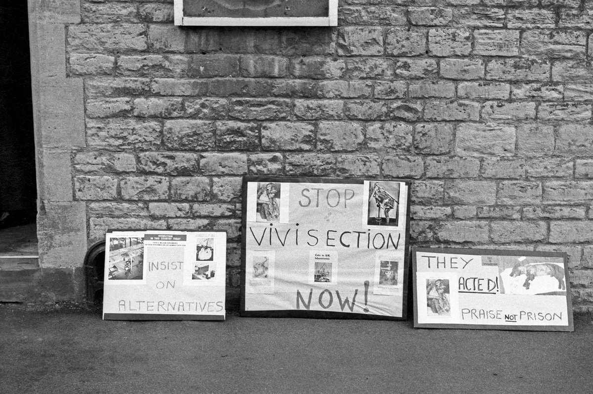 Mike Huskisson tweet media