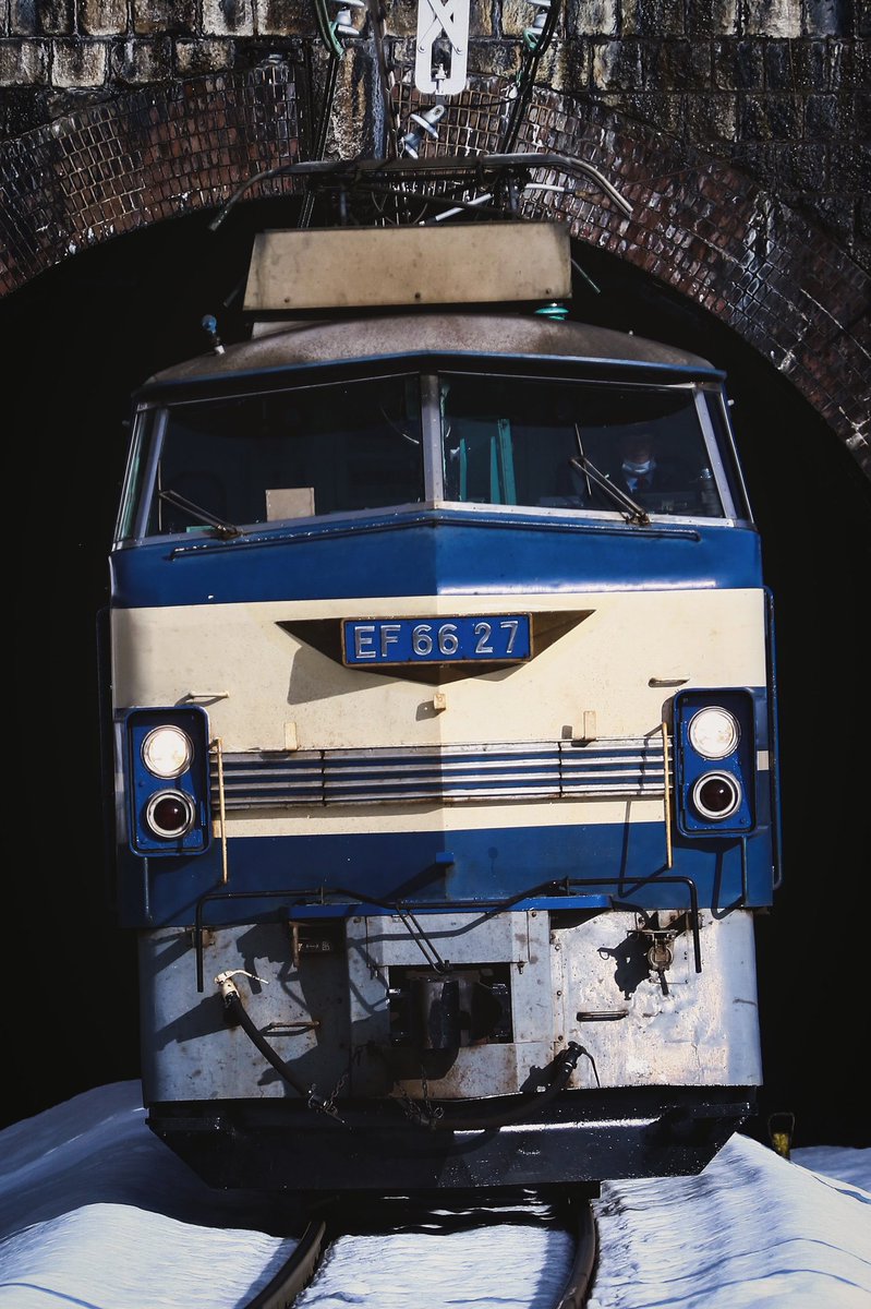 のっぽ tweet media