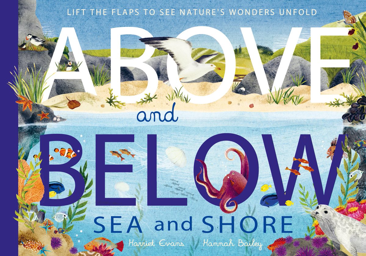 Above and Below - Sea and ShoreMarchHardback with flapsWords:  @Hat_tea_Evans Pics:  @hannahrbailey