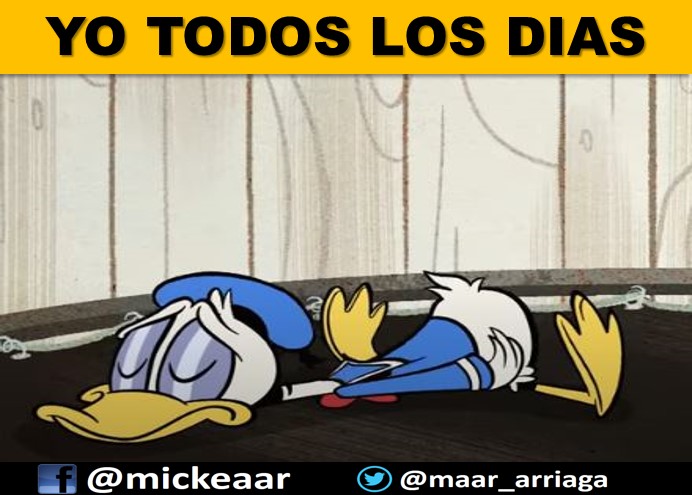 mickeaar's tweet photo. #FelizDomingo
#BuenosDiasATodos
#BuenosDias https://t.co/Cc5VvIjn0i
