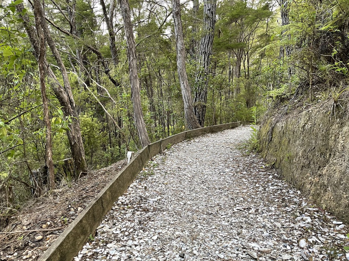 Yes, this is literally all the foot slicing fun of broken shells from the beach. &ndash; bei  Kimi Ora Spa Resort Kaiteriteri