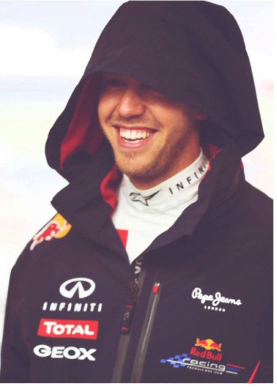 Sebastian Vettel as cats- a thread