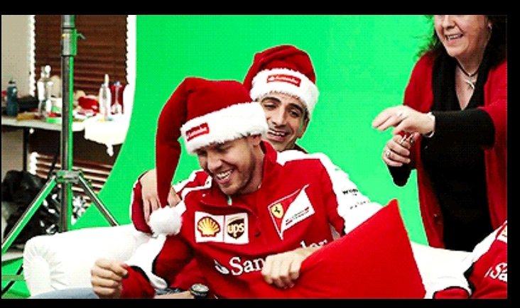 Sebastian Vettel as cats- a thread