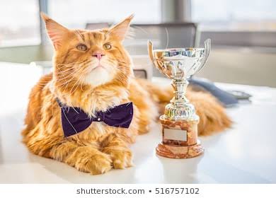 Sebastian Vettel as cats- a thread